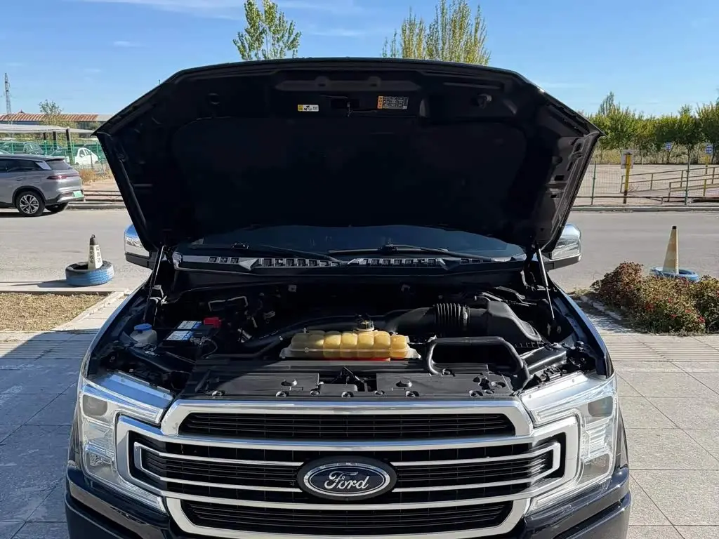 Ford F-150 Raptor 2020 — Photo 7/16