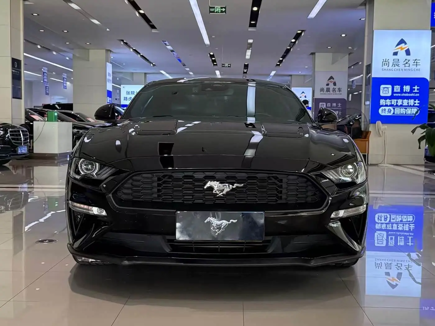 Ford Mustang 2023 — Фото 1/20