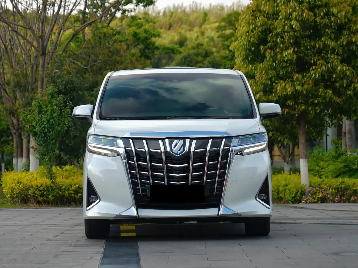 Toyota Alphard 2022 — Photo 2/13