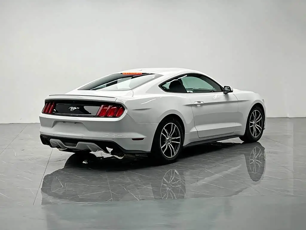 Ford Mustang 2017 — Photo 6/20