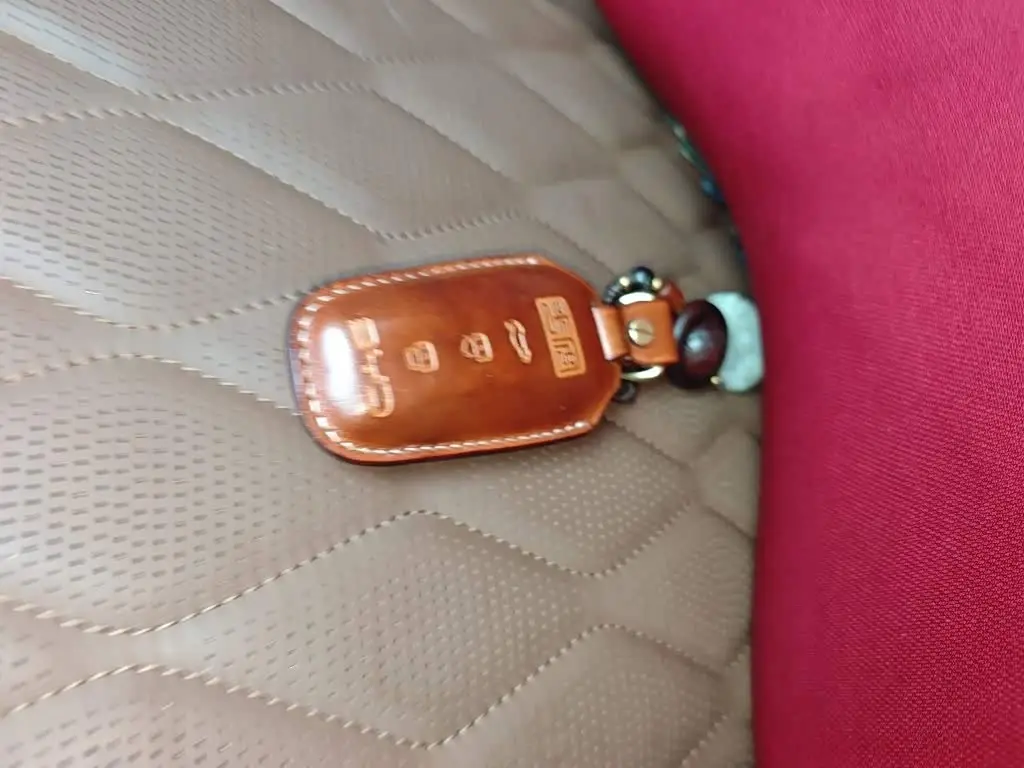 BYD Tang New Energy 2022 — Photo 12/20