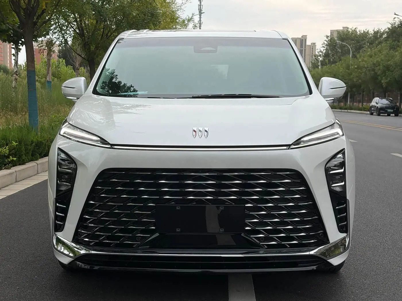 Buick GL8 New Energy 2024 — Photo 17/20