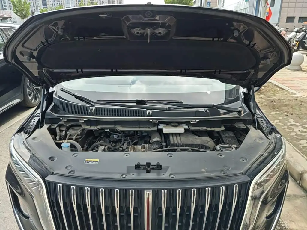 Hongqi HQ9 PHEV 2025 — Photo 20/20