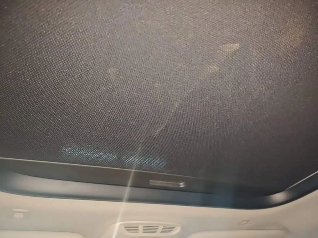 MINI MINI 2021 — Photo 18/20