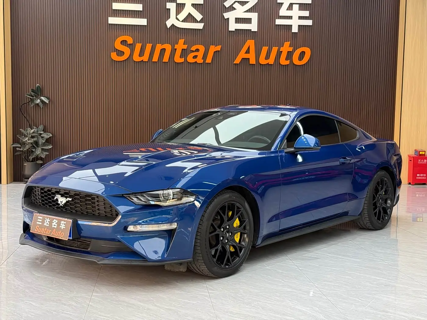 Ford Mustang 2022 — Фото 2/20