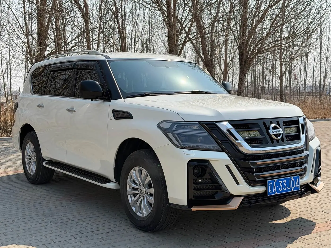 Nissan Patrol 2019 — Фото 3/17