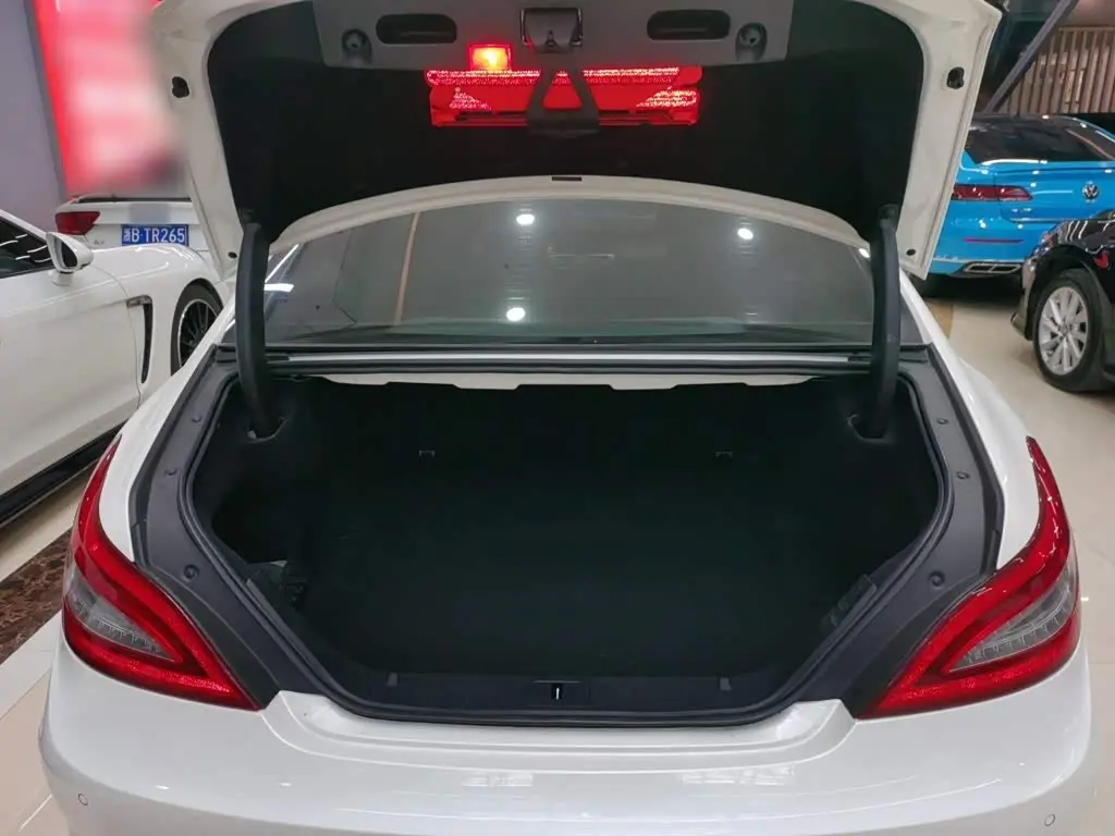 Mercedes-Benz CLS 2015 — Фото 15/20