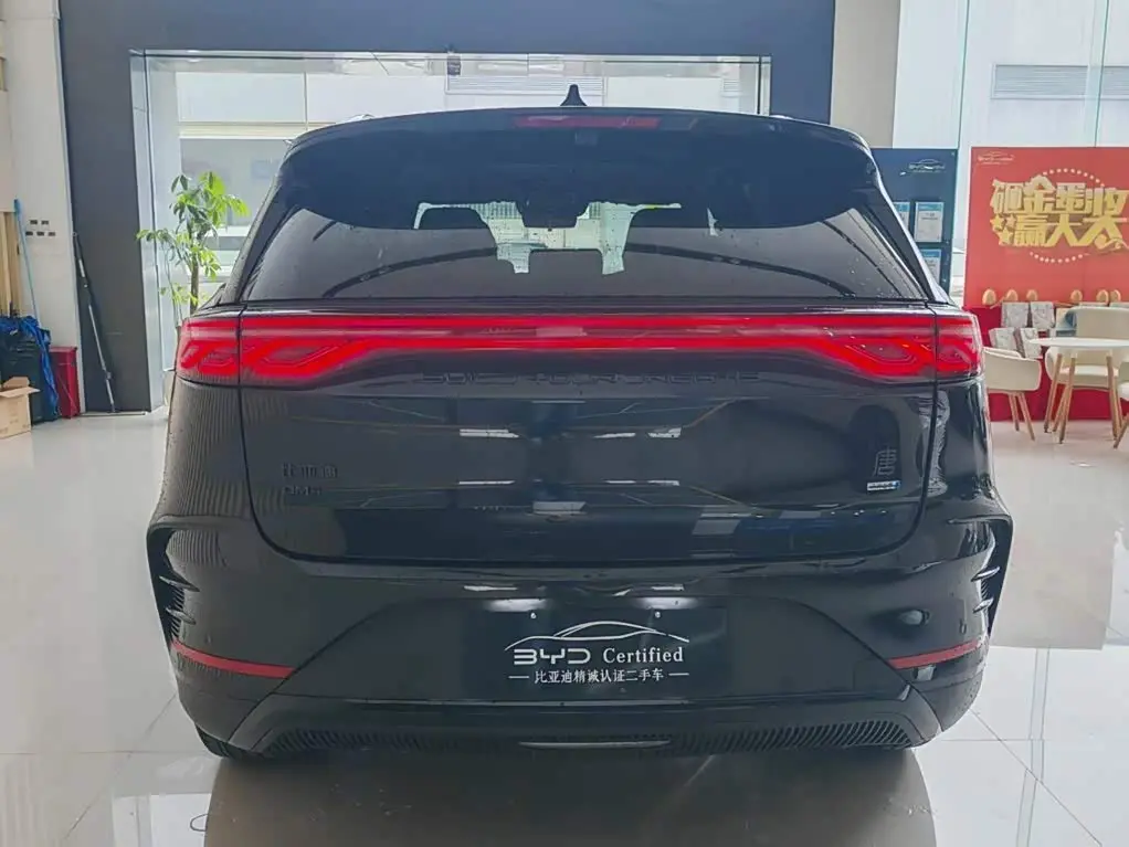 BYD Tang New Energy 2025 — Photo 5/15
