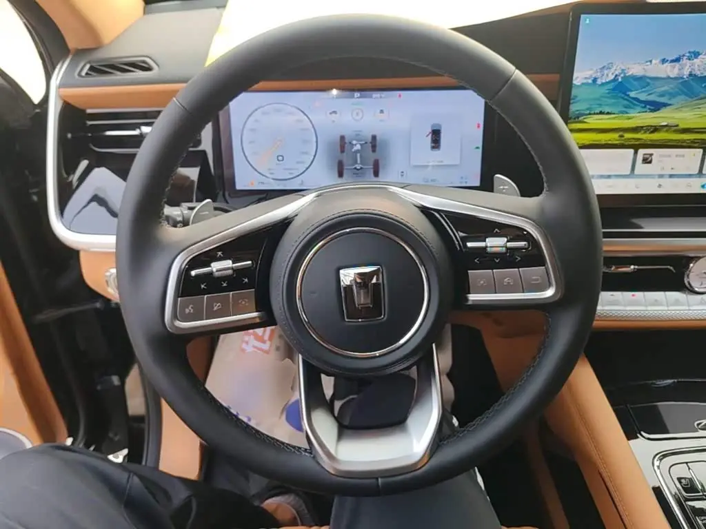 Tank 500 EV 2025 — Photo 11/20