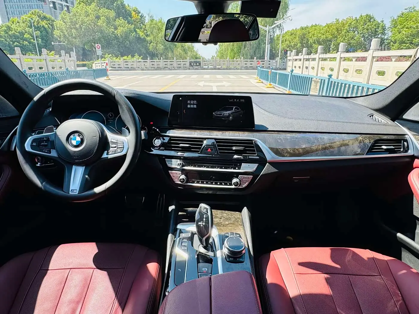 BMW 5 Series 2019 — Photo 10/18
