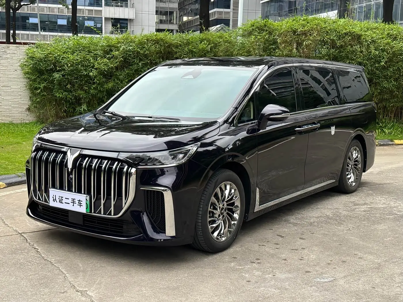 Voyah Auto Voyah Dreamer, 2024