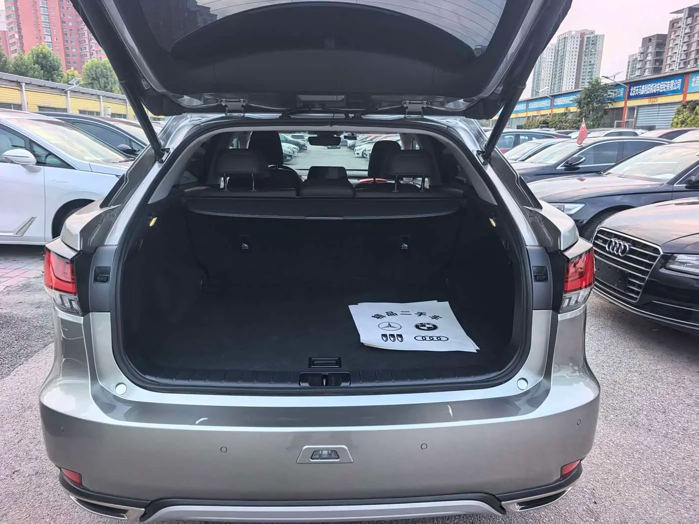 Lexus RX 2021 — Photo 11/19
