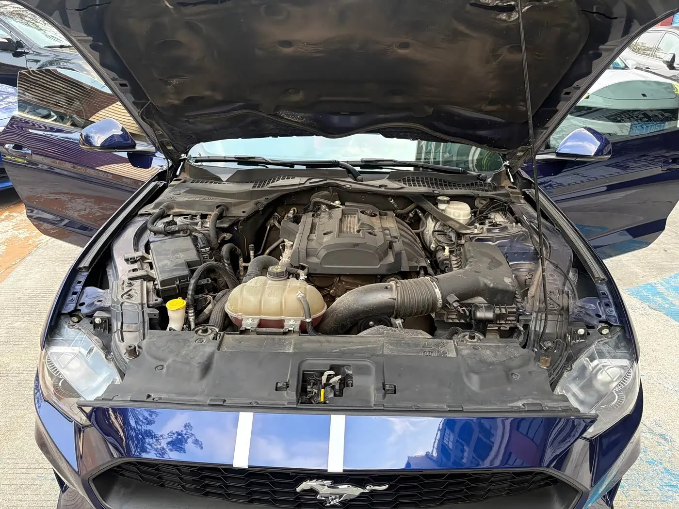 Ford Mustang 2019 — Фото 18/20