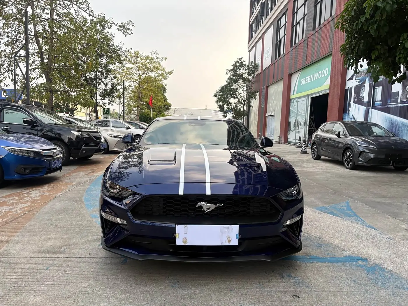 Ford Mustang 2019 — Фото 3/20