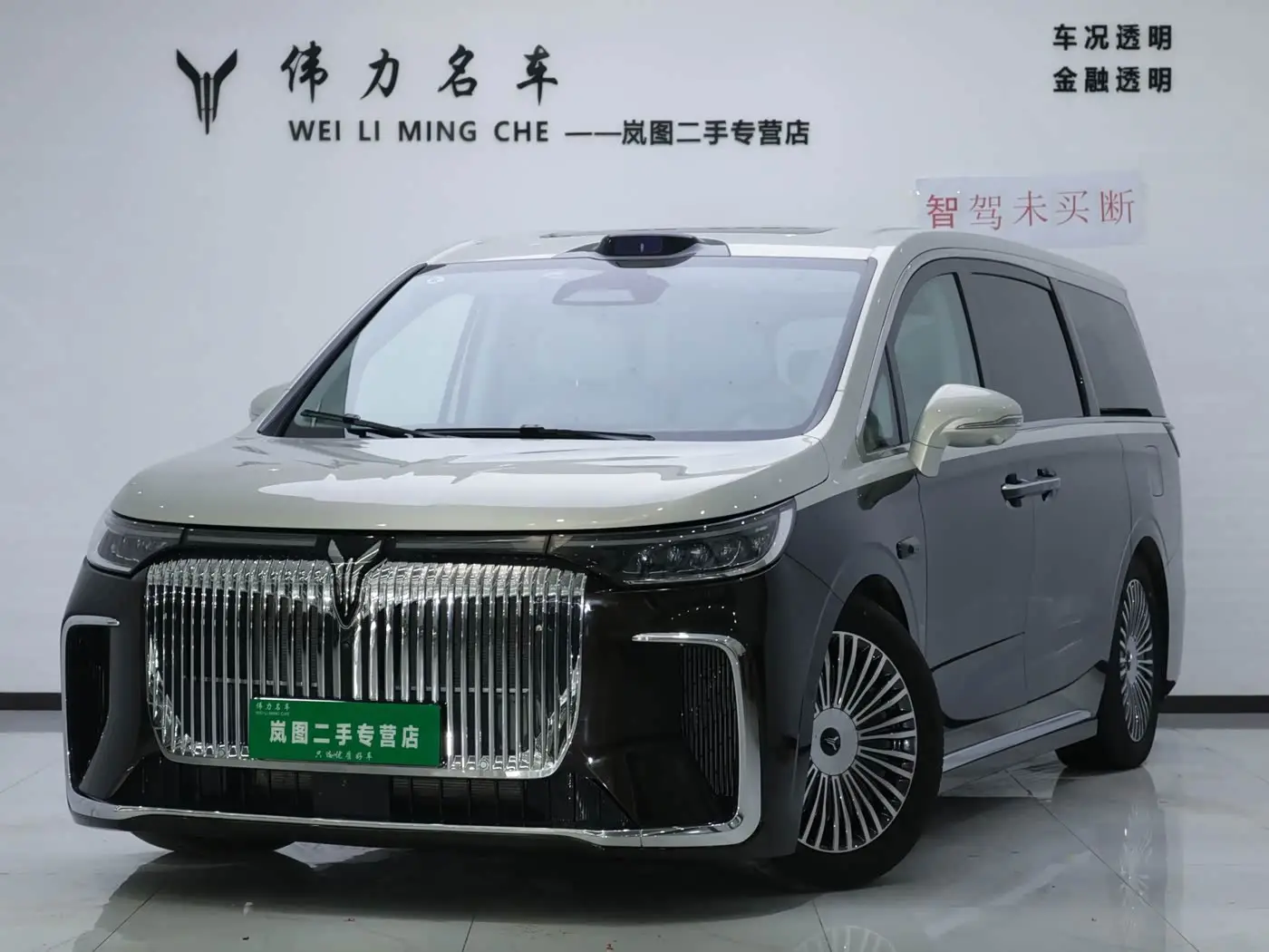 Voyah Auto Voyah Dreamer, 2024