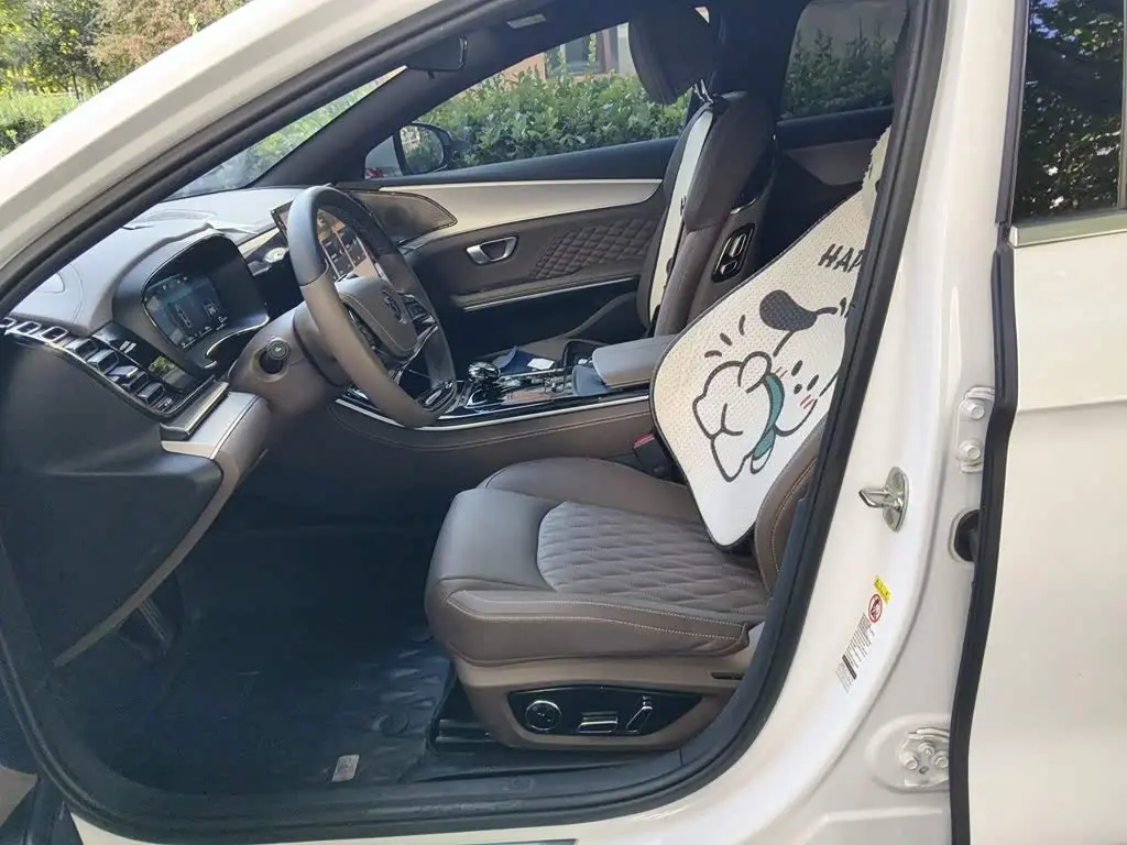 BYD Han 2022 — Photo 11/16