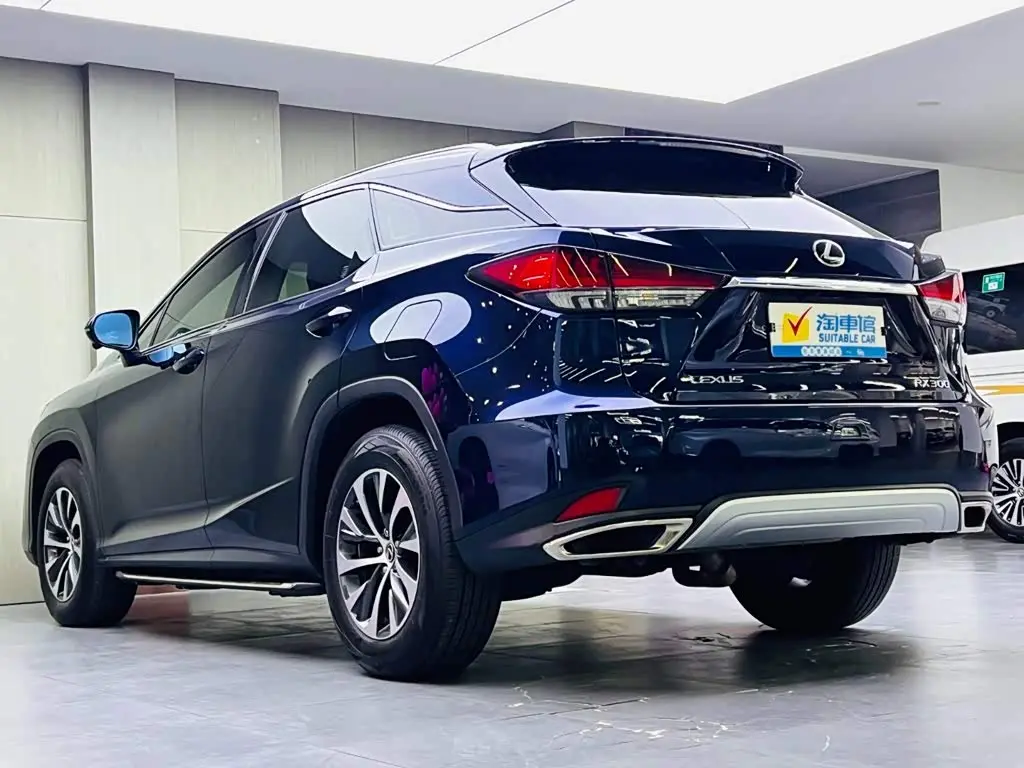 Lexus RX 2020 — Photo 6/15