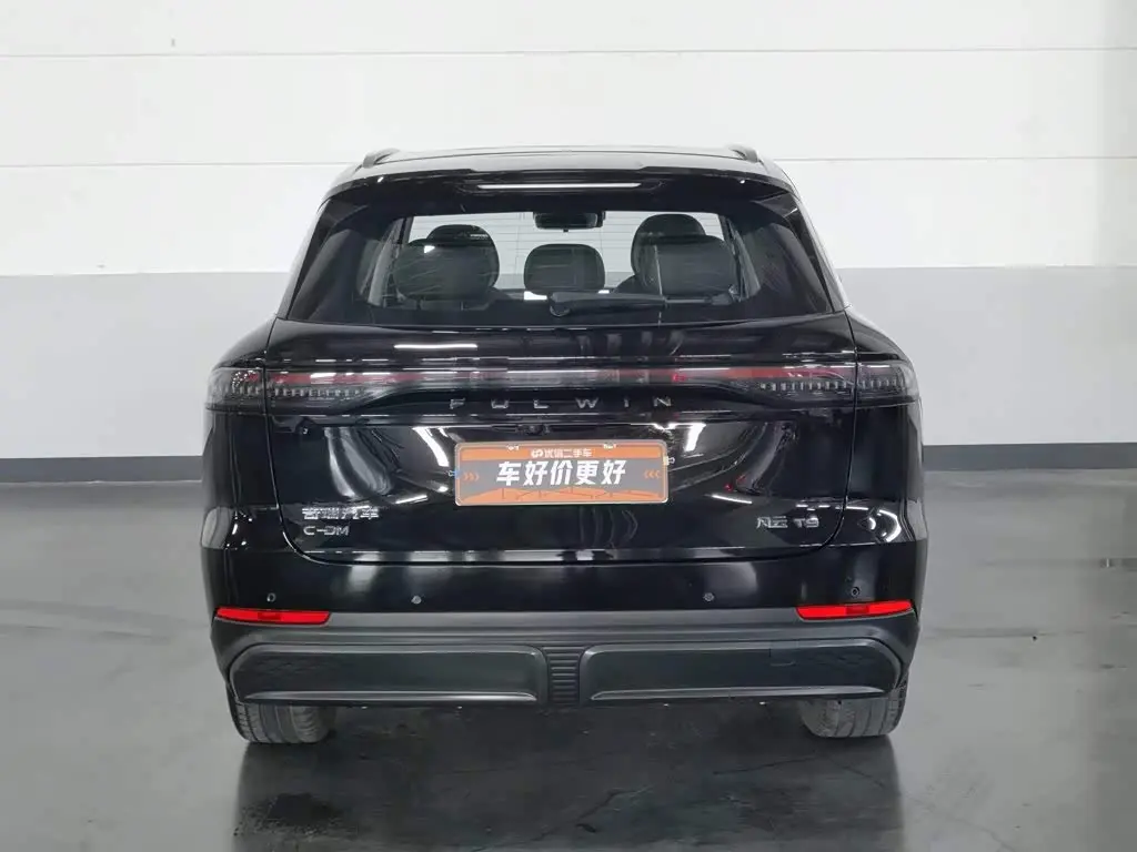 Chery Fengyun Fengyun T9 2024 — Şəkil 4/20