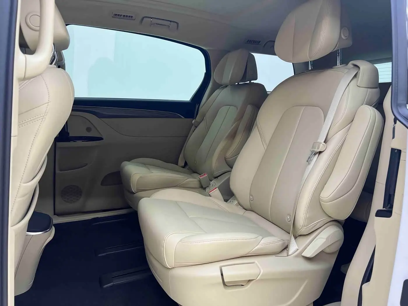 Buick GL8 New Energy 2025 — ფოტო 20/20