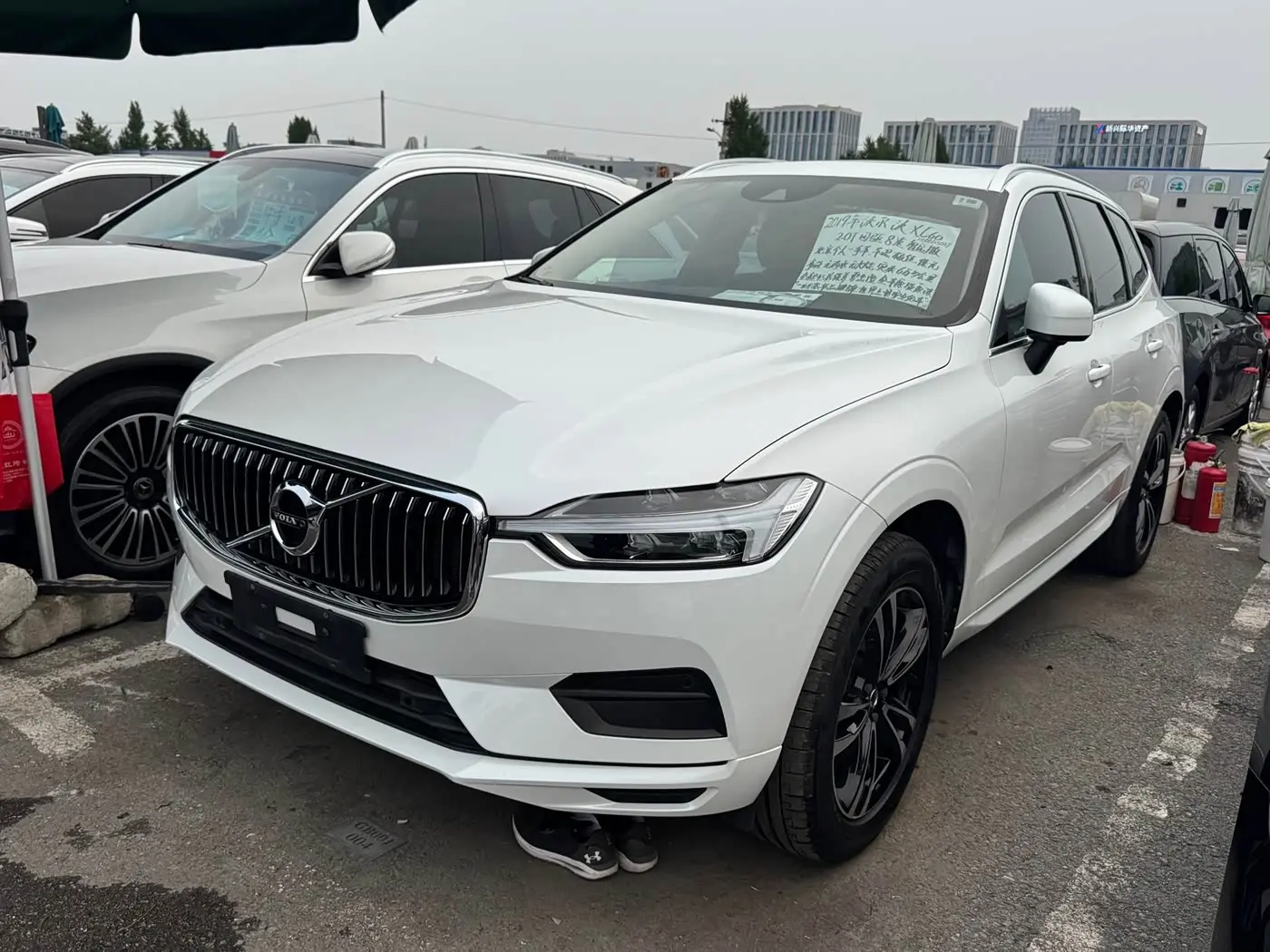 Volvo XC60 2019 — Фото 1/15