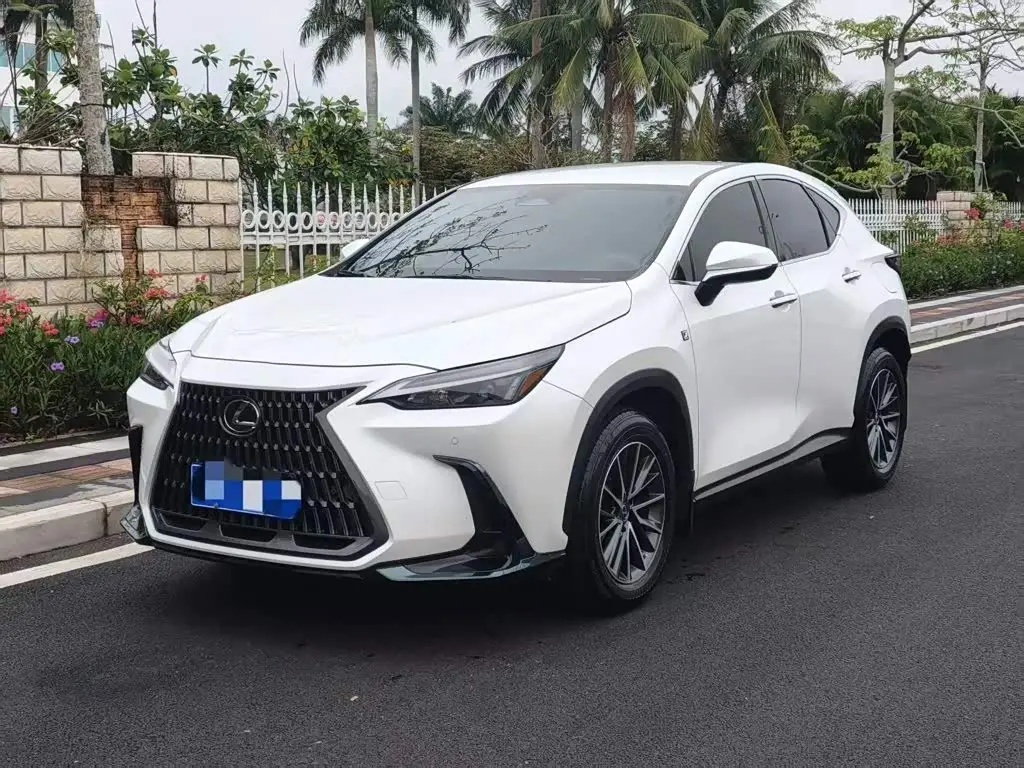 Lexus NX 2022 — Photo 1/9