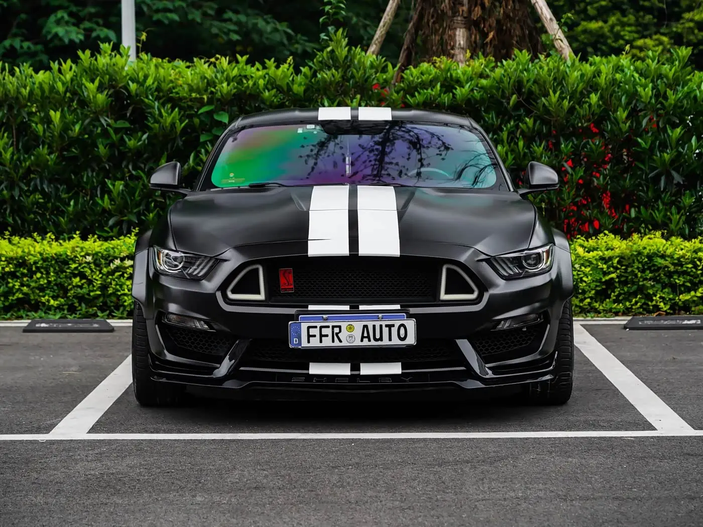 Ford Mustang 2016 — Photo 8/20