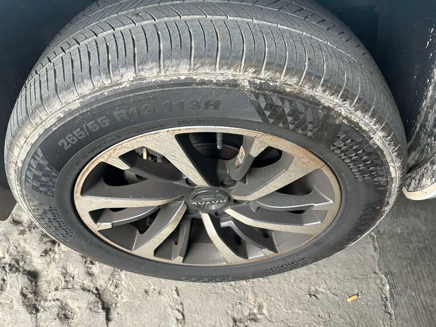 Haval H9 2025 — Photo 5/19
