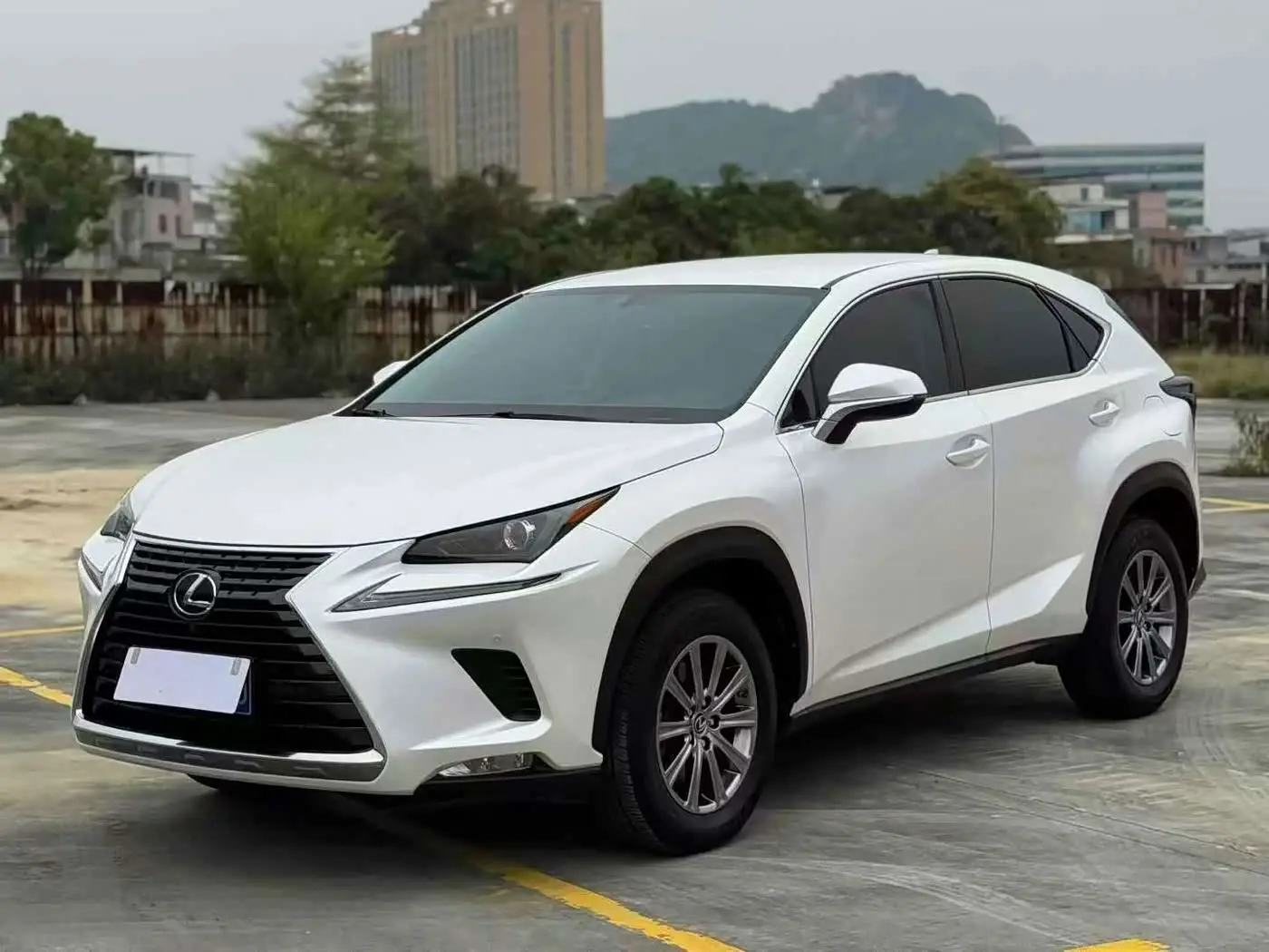 Lexus NX 2021 — Фото 1/9