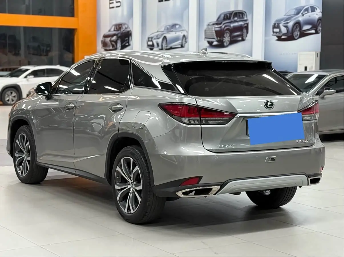 Lexus RX 2022 — Photo 11/11