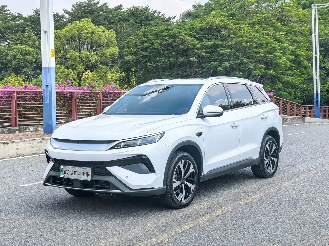 BYD Song Pro New Energy 2026 — Photo 1/20