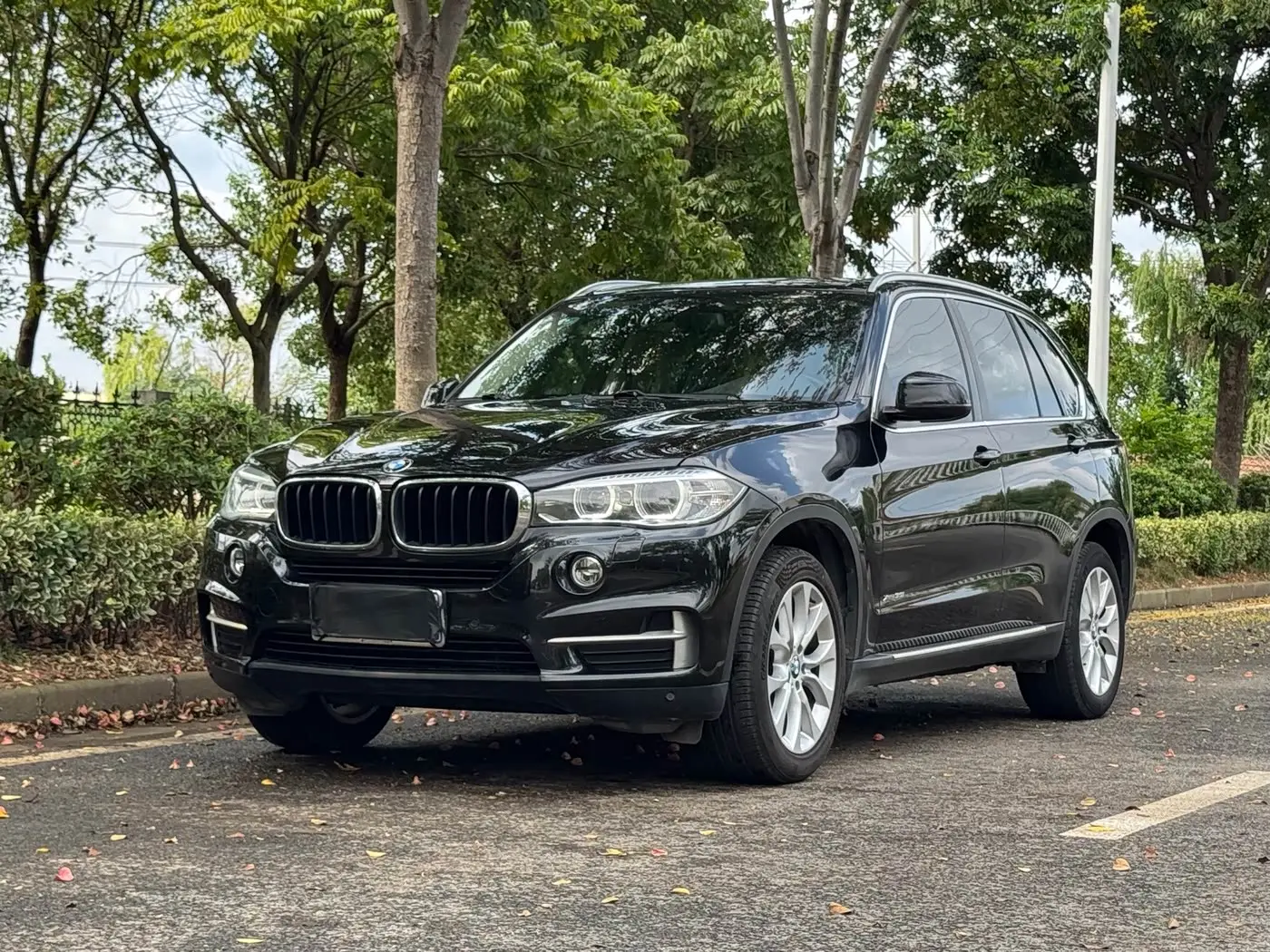 BMW X5 2015 — Фото 1/20