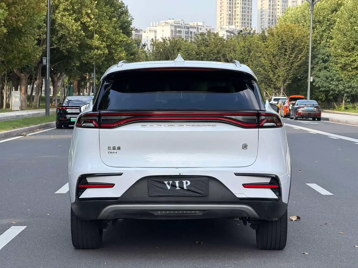 BYD Tang New Energy 2023 — Şəkil 14/15