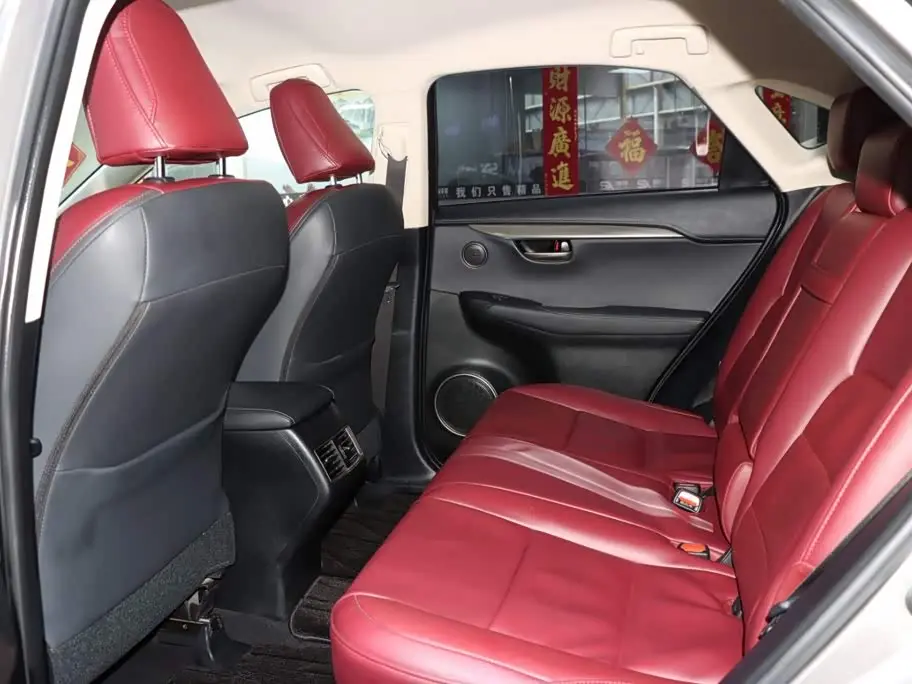 Lexus NX 2021 — Photo 11/19