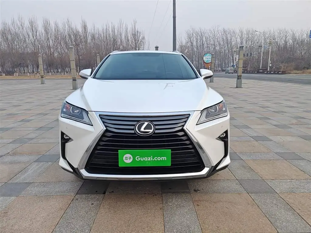 Lexus RX 2018 — Фото 12/20