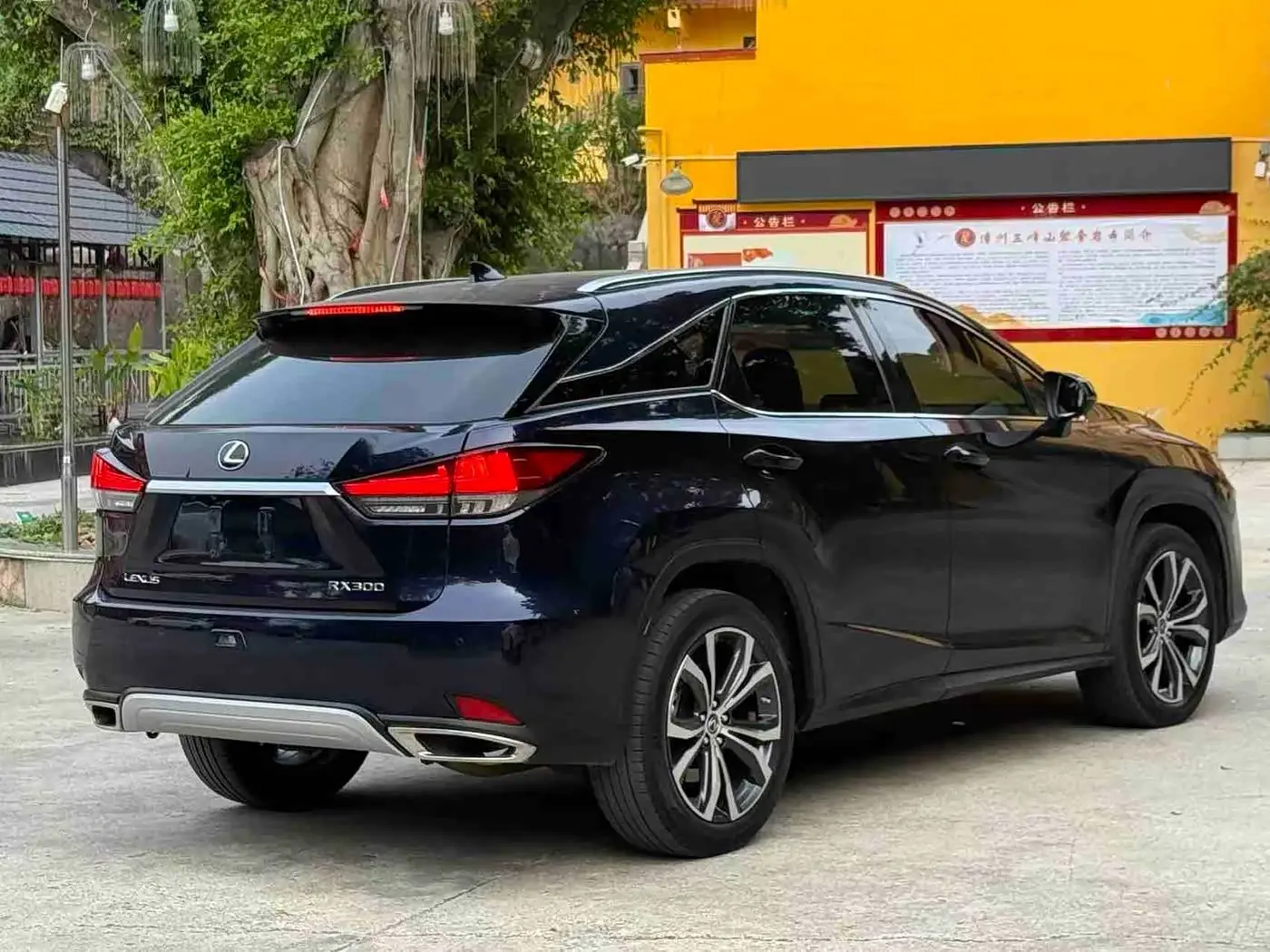 Lexus RX 2022 — Photo 9/9
