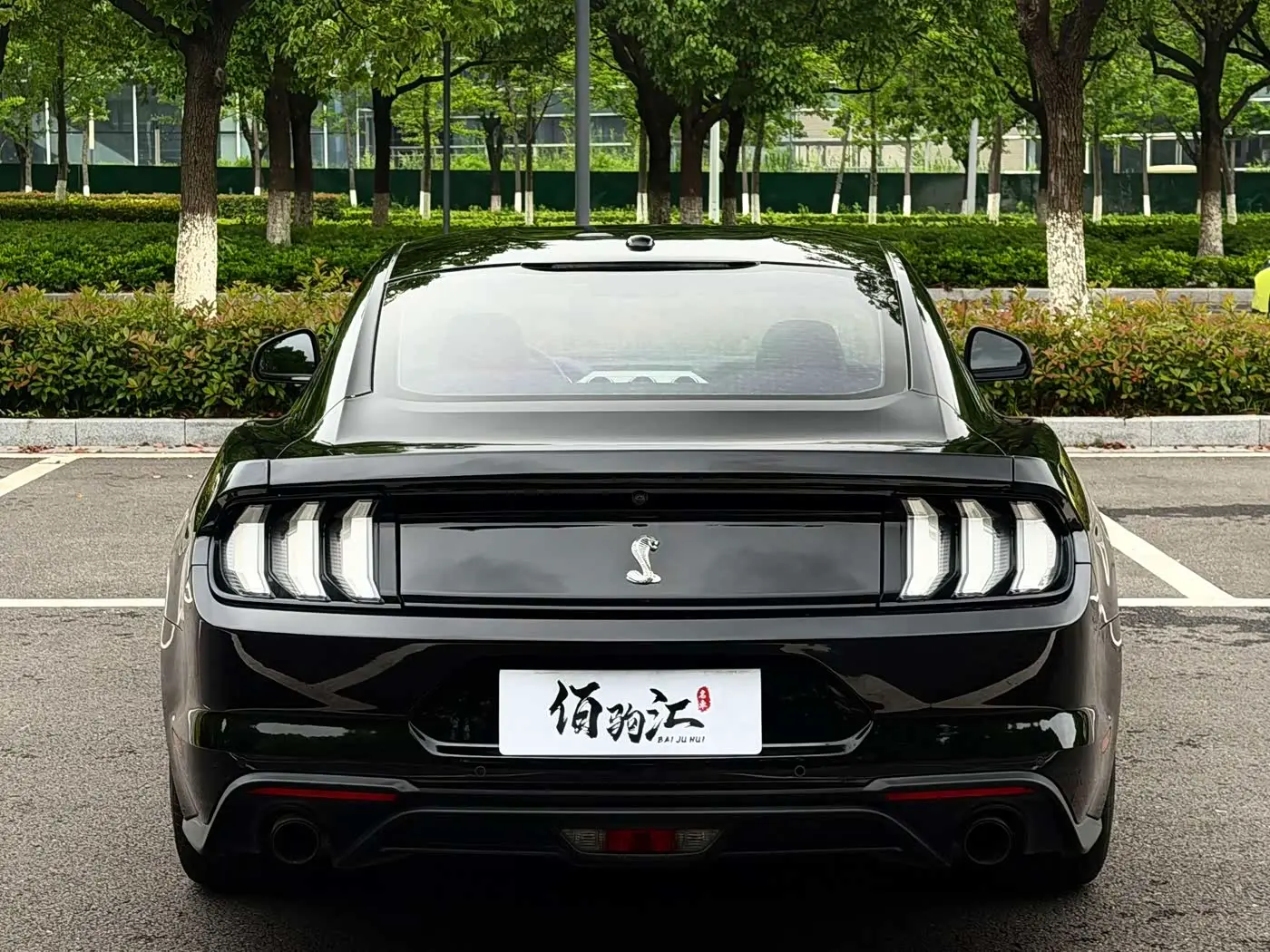 Ford Mustang 2019 — Photo 5/13