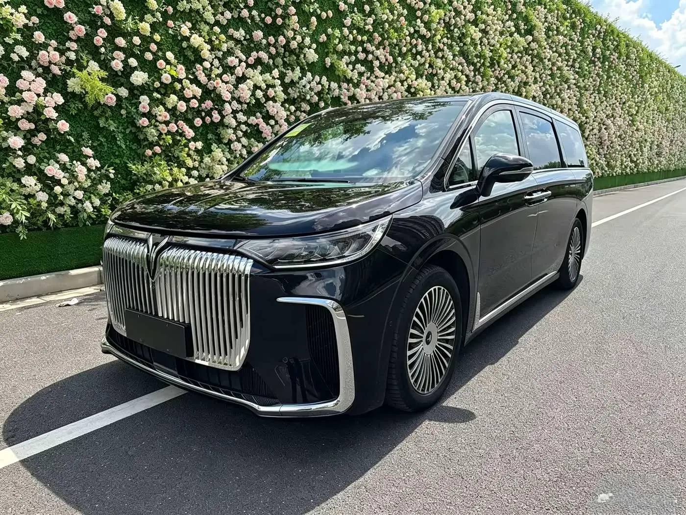 Voyah Auto Voyah Dreamer 2026 — Photo 1/9