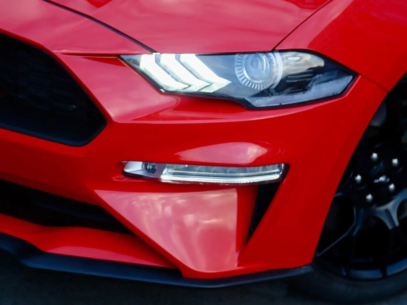 Ford Mustang 2021 — Photo 16/19