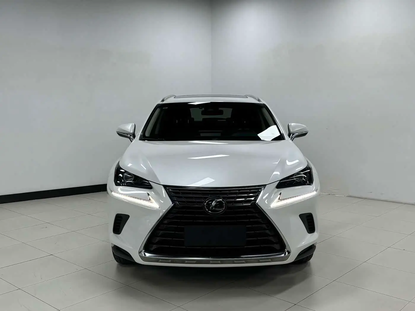 Lexus NX 2018 — Photo 2/20