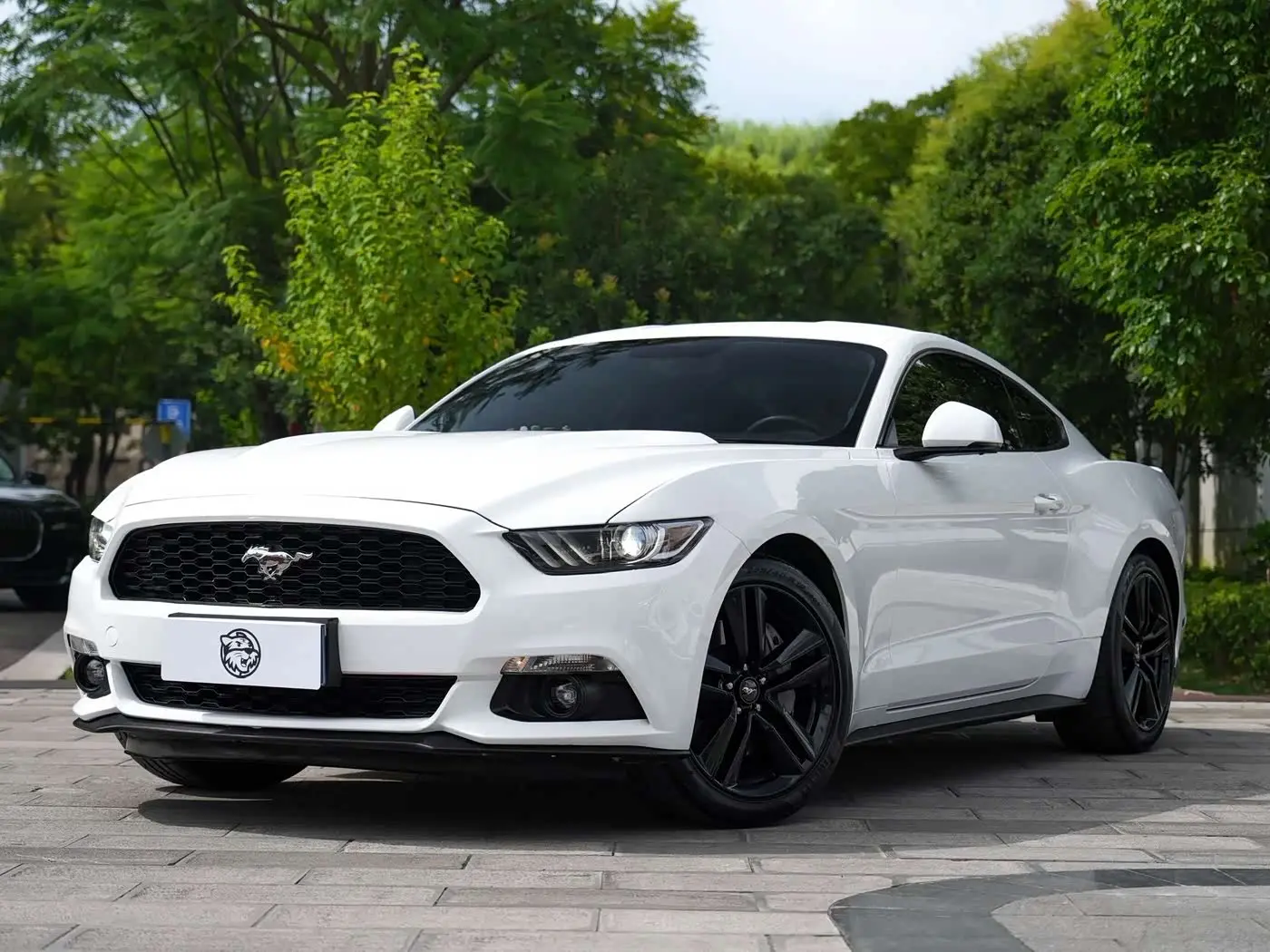Ford Mustang 2017 — Şəkil 1/14