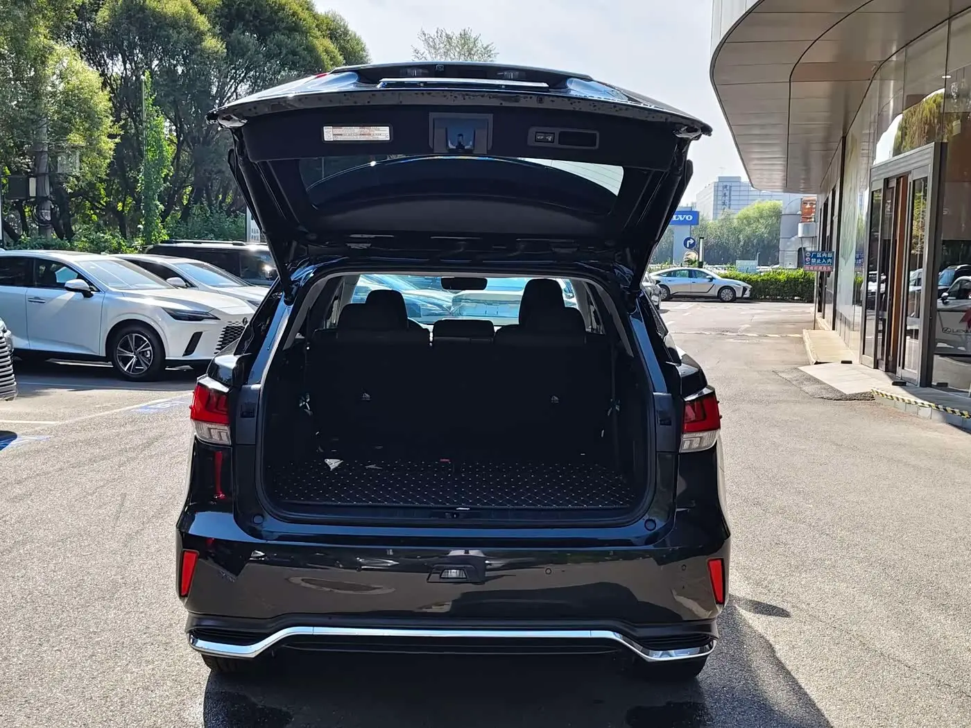 Lexus RX 2022 — Фото 14/17