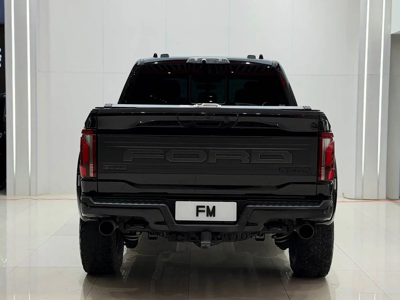 Ford F-150 Raptor 2023 — Фото 19/19