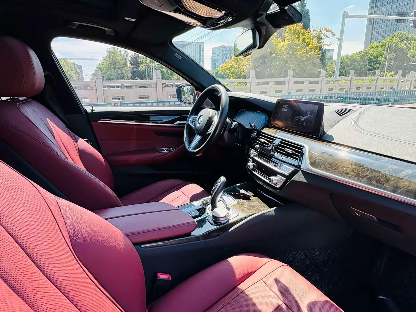 BMW 5 Series 2019 — Photo 11/18