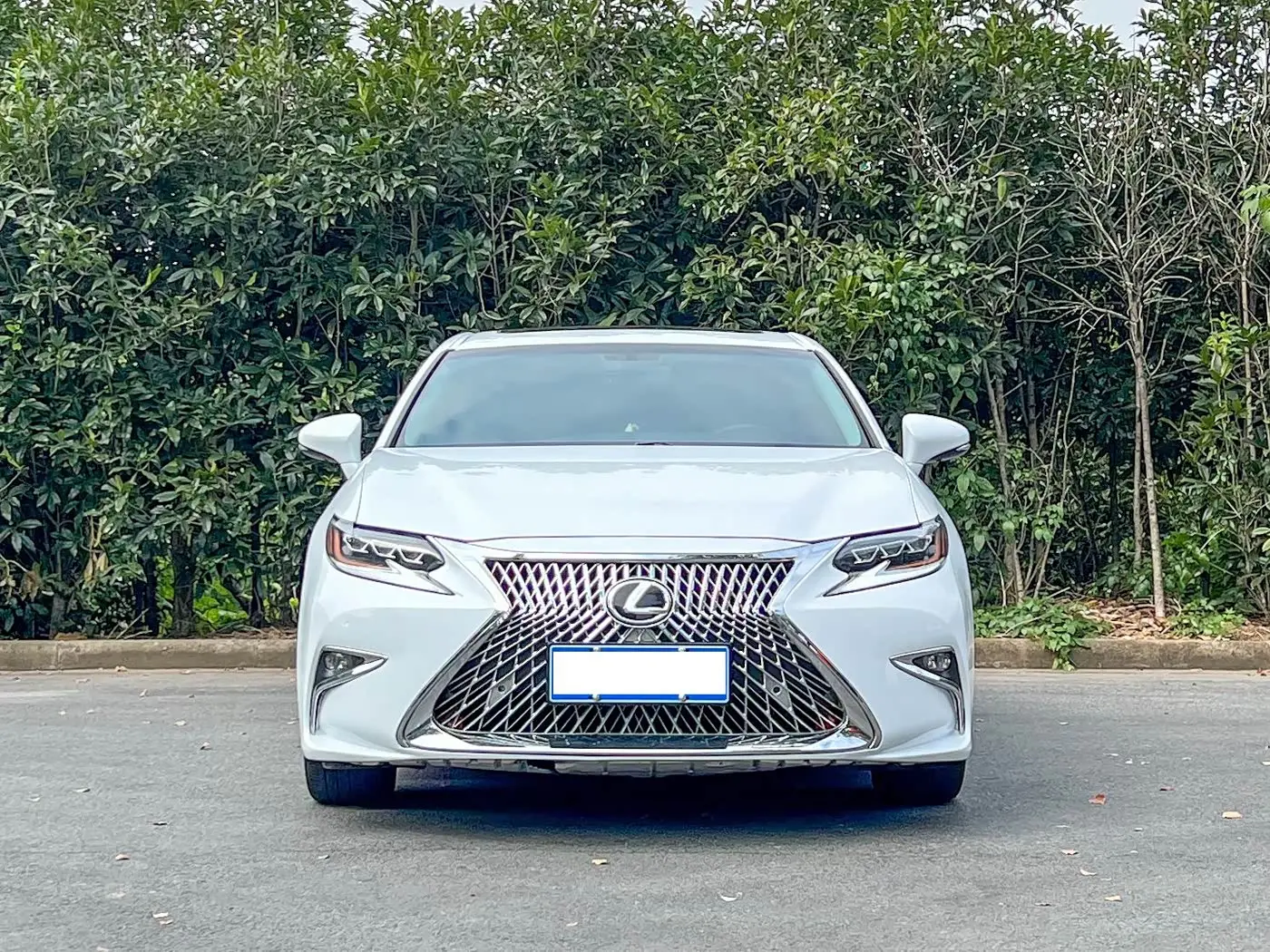 Lexus ES 2015 — Photo 2/15