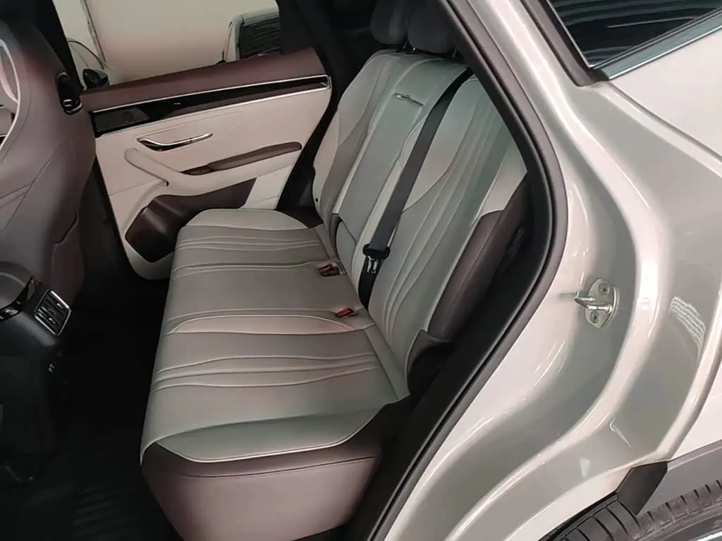 BYD Song PLUS PHEV 2024 — Photo 17/20
