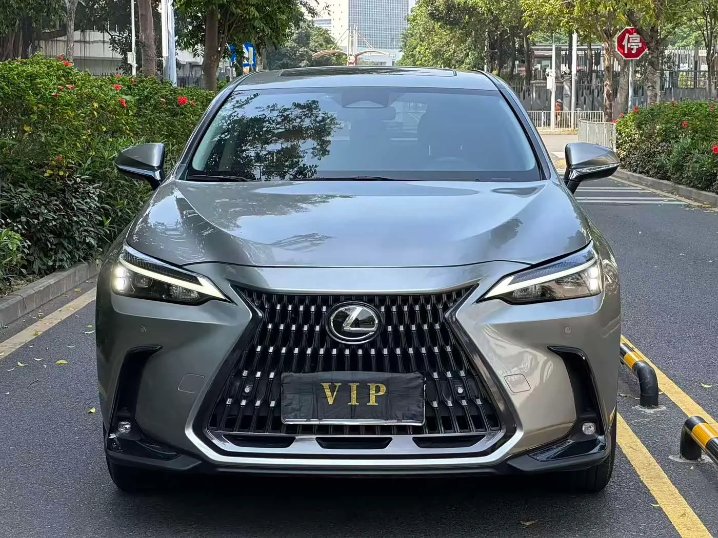 Lexus NX 2023 — Photo 2/13