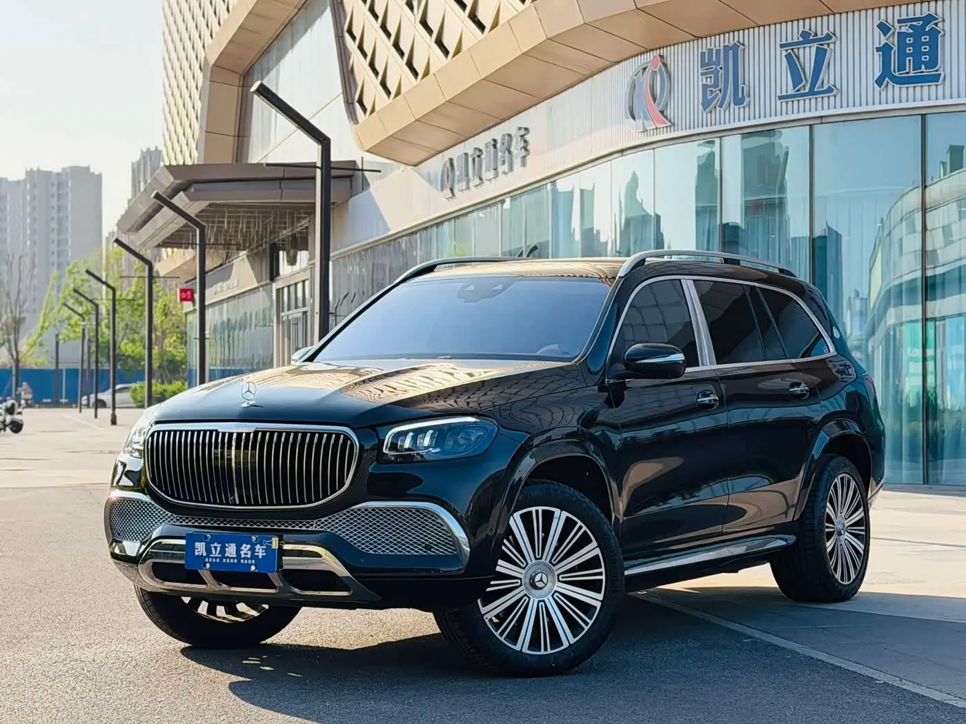 Mercedes-Benz Maybach GLS 2021 — Фото 1/18