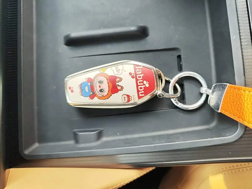 BYD Song L DM-i 2025 — Photo 8/19