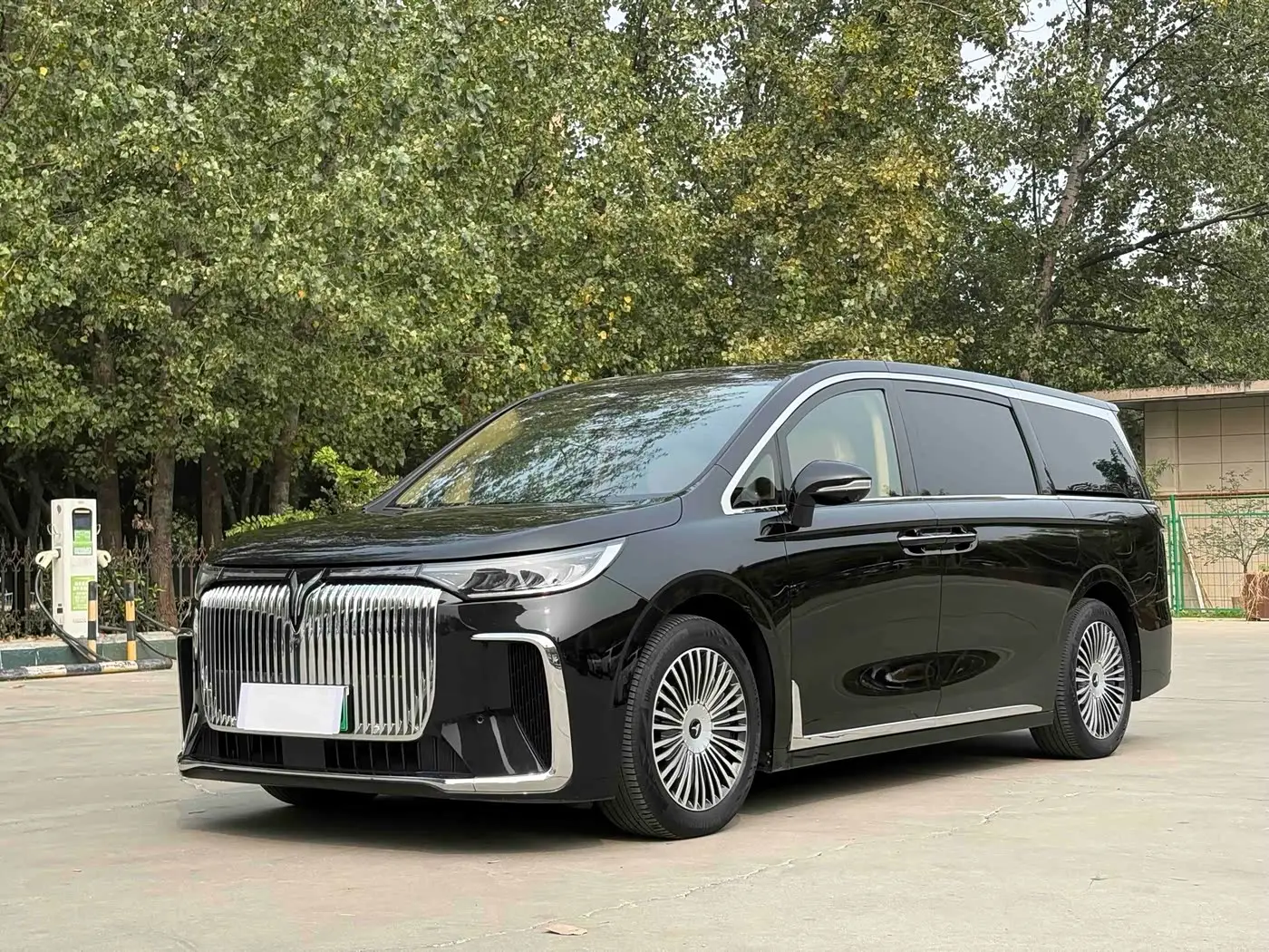 Voyah Auto Voyah Dreamer, 2024