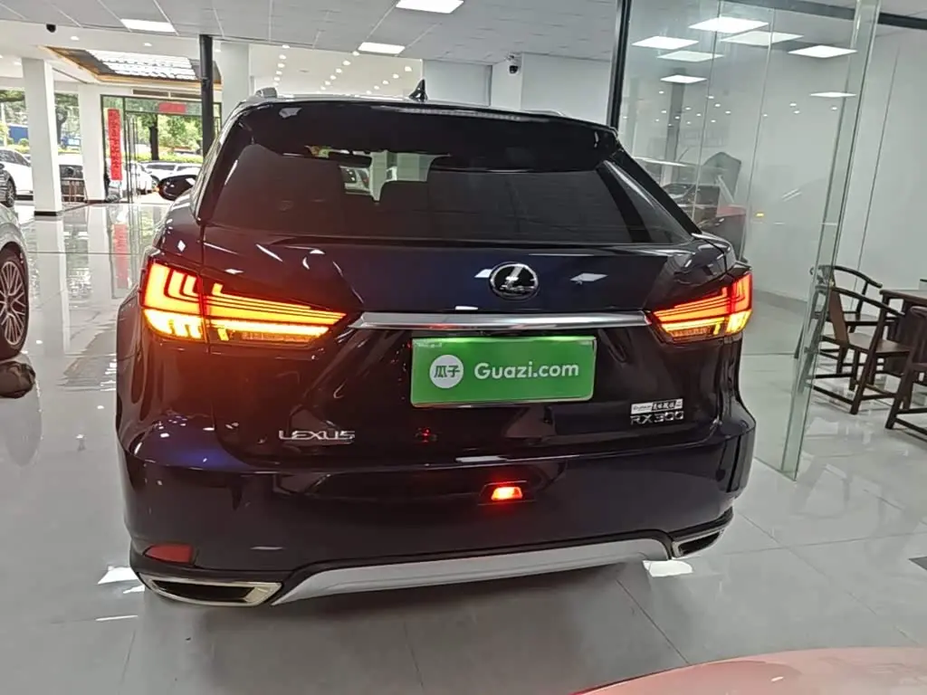 Lexus RX 2021 — Photo 6/20